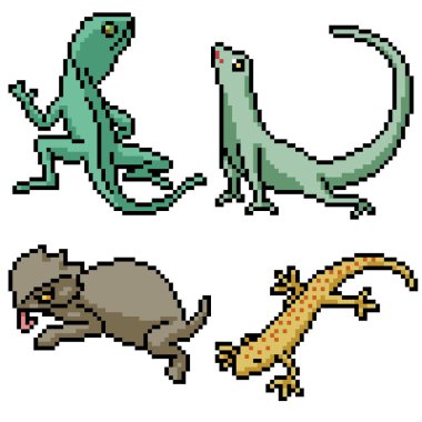 pikseller izole edilmiş kertenkele seti