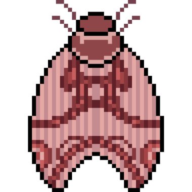 vektör piksel sanat güvesi izole edildi