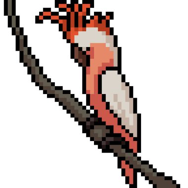 vektör pikseli renkli kuş izole edilmiş çizgi film