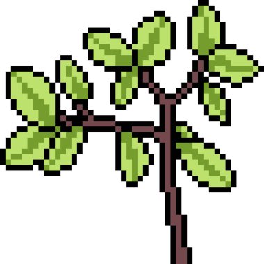 vektör piksel sanat dalı izole edildi