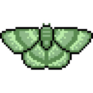 vektör piksel sanat güvesi izole edildi