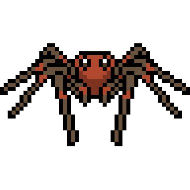 vektör piksel sanat örümceği izole edildi