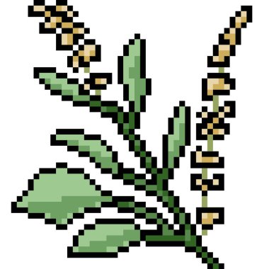 vektör piksel sanat yaprağı izole cartoo