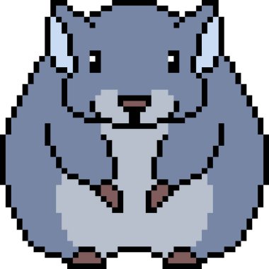 vektör piksel sanat çinçillası izole edildi