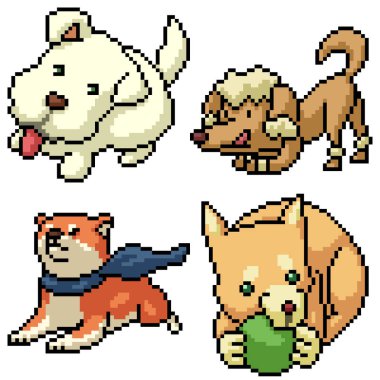 pikseller izole edilmiş komik köpek seti