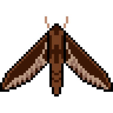 vektör piksel sanat güvesi izole edildi