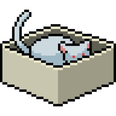 Kutu izole edilmiş çizgi filmdeki vektör piksel sanat kedisi