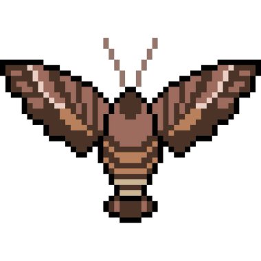 vektör piksel sanat güvesi izole edildi