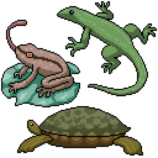 Pixel Art Set Isoliert Kleines Amphibienreptil — Stockvektor