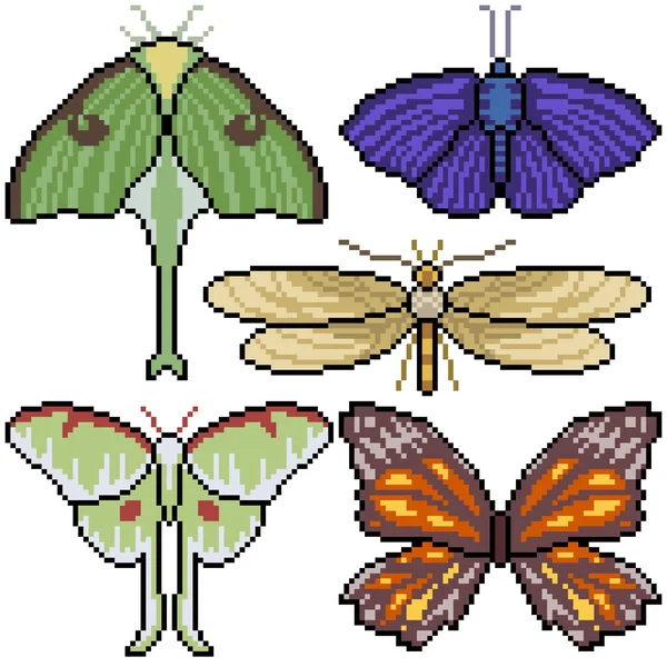 Pixel Art Nastavit Izolovaný Moth Top View — Stockový vektor