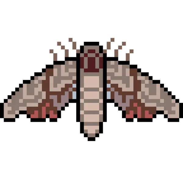 Pixel Kunst Insect Mot Geïsoleerd — Stockvector