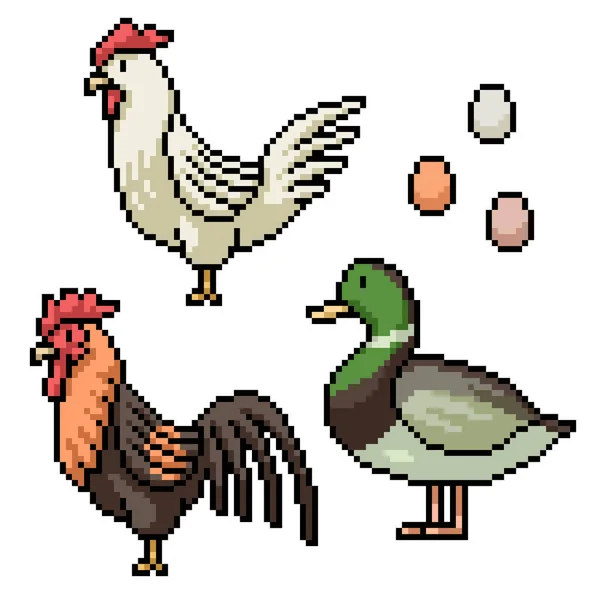 鸡鸭蛋像素艺术 — 图库矢量图片