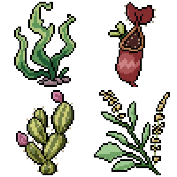 Pixel Art Set Isoliert Seltsame Pflanze — Stockvektor