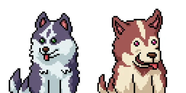 Pixel Art Chiot Husky Sibérien — Image vectorielle