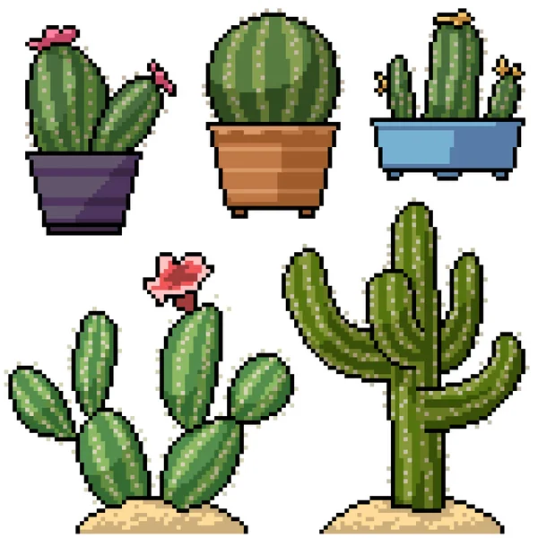 Pixel Art Set Decoración Cactus Aislados — Vector de stock