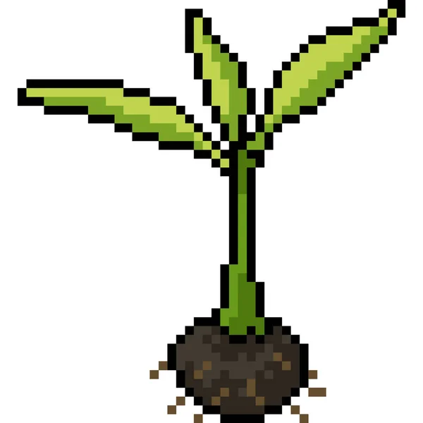 Vector Pixel Arte Semilla Planta Dibujos Animados Aislados — Vector de stock