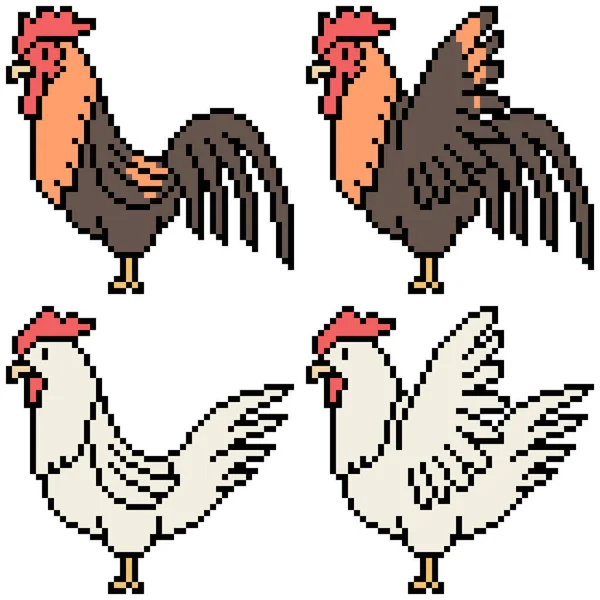 Векторный Пиксельный Набор Курицы Изолирован — стоковый вектор