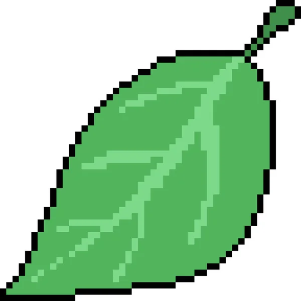 Vektor Pixel Art Leaf Isolerad — Stock vektor