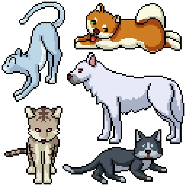 Pixel Art Set Isoliertes Haustier — Stockvektor