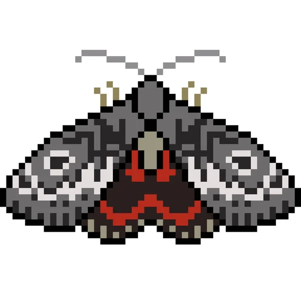 Vector Pixel Arte Insecto Polilla Aislado — Vector de stock