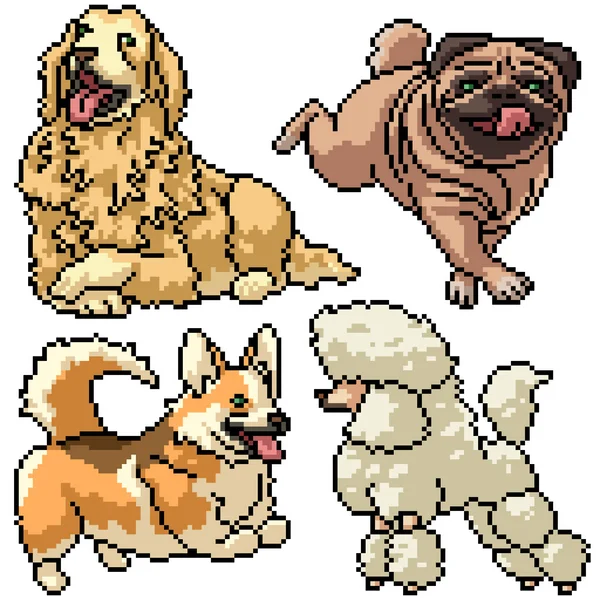 Pixel Art Set Μεμονωμένα Σκυλιά Κατοικίδιο Ζώο — Διανυσματικό Αρχείο