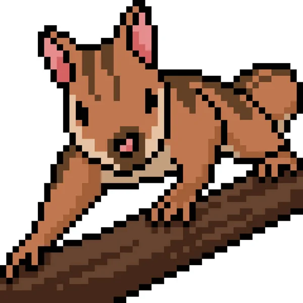 Vektor Pixel Kunst Eichhörnchen Isolierte Karikatur — Stockvektor