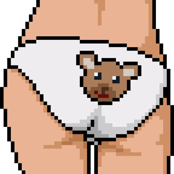 Vector Pixel Art Panty Butt Isolated Cartoon — 스톡 벡터