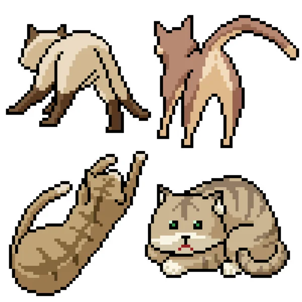 Pixel Art Set Isolerad Herrelös Katt — Stock vektor