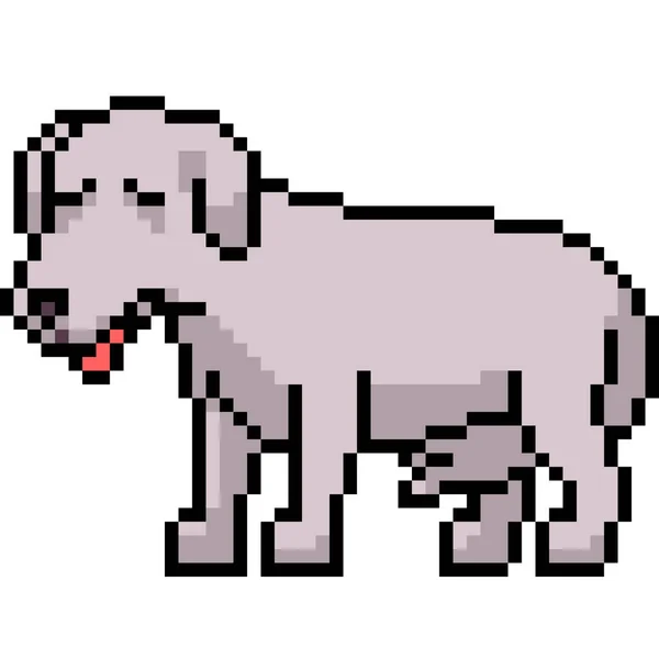 Pixel Vetorial Arte Cão Doente Desenhos Animados Isolados — Vetor de Stock