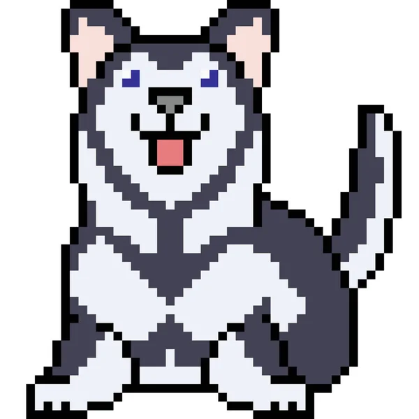 Vector Pixel Arte Siberiano Husky Aislado — Vector de stock