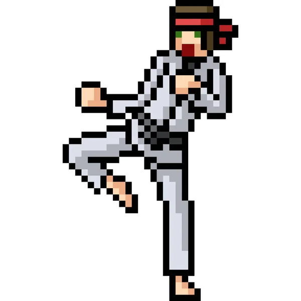 Vecteur Pixel Art Martial Artiste Isolé Cartoo — Image vectorielle