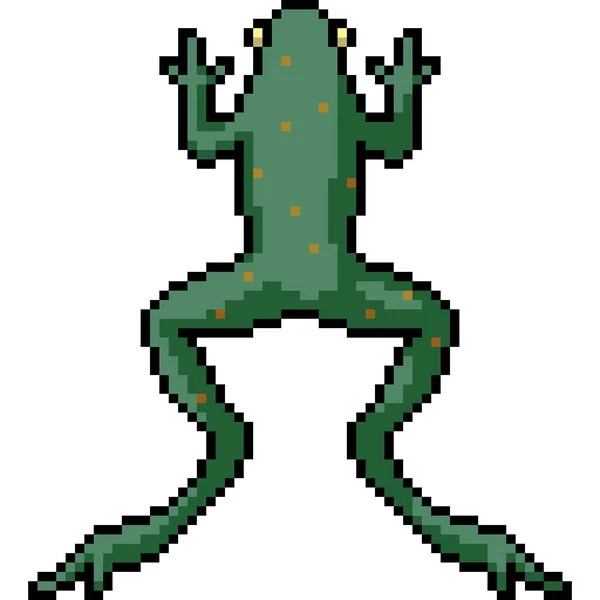 Διάνυσμα Pixel Τέχνη Απομονωμένο Δηλητήριο Βάτραχος — Διανυσματικό Αρχείο