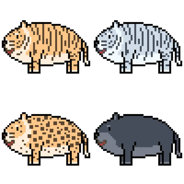 Vecteur Pixel Art Set Tigre Isolé — Image vectorielle