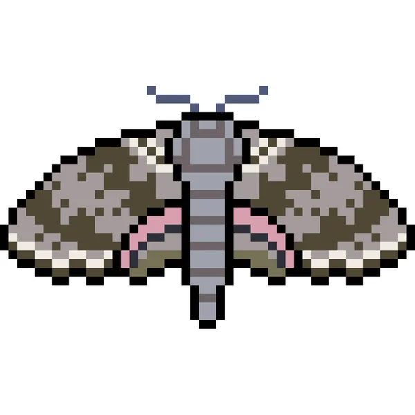 Pixel Art Insecte Papillon Isolé — Image vectorielle