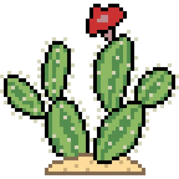 Vektor Pixel Konst Kaktus Isolerad — Stock vektor