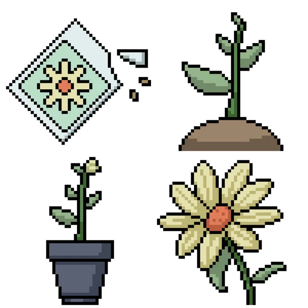 Pixel Arte Flor Planta Semilla — Vector de stock