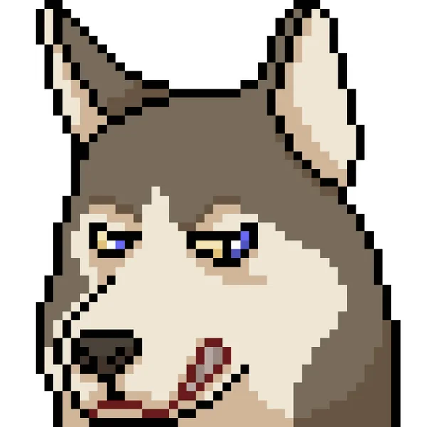 Vector Pixel Arte Husky Cara Expresión Dibujos Animados Aislados — Vector de stock