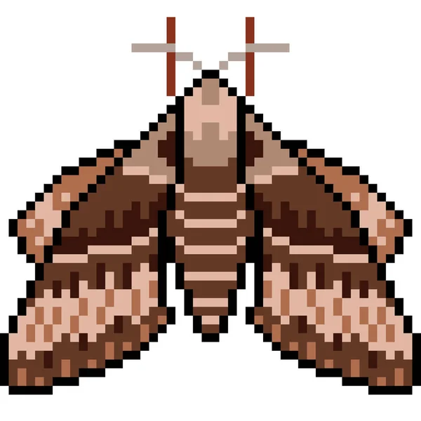 Vecteur Pixel Art Insecte Papillon Isolé — Image vectorielle