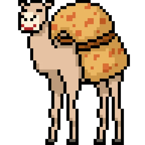 Pixel Vetorial Arte Animal Transporte Camelos Desenhos Animados Isolados — Vetor de Stock