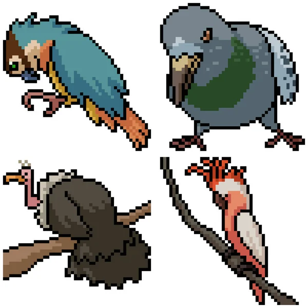 Pixel Art Set Isoliert Wildvogel — Stockvektor