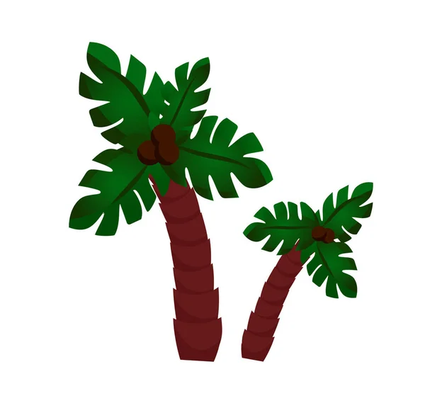 Coconut Palm Tree Isolated Icon Colorful Cartoon Illustration Vector Plant — ストックベクタ