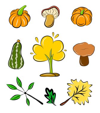 Autumn season collection vector illustration isolated on white icon colorful cartoon stickers pumpkin and mushroom 