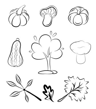 Autumn icon set season graphic line art tree pumpkin leaf mushroom collection black outline drawing fall concept nature plant vegetable garden contour line
