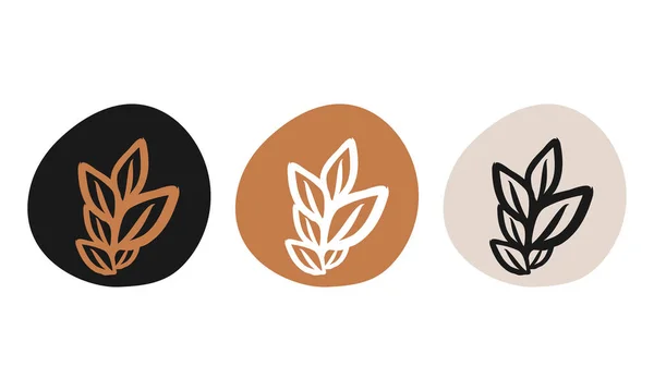 Botanical Illustration Vector Logo Design Set Collection Luxury Logo Icons — Stockvektor