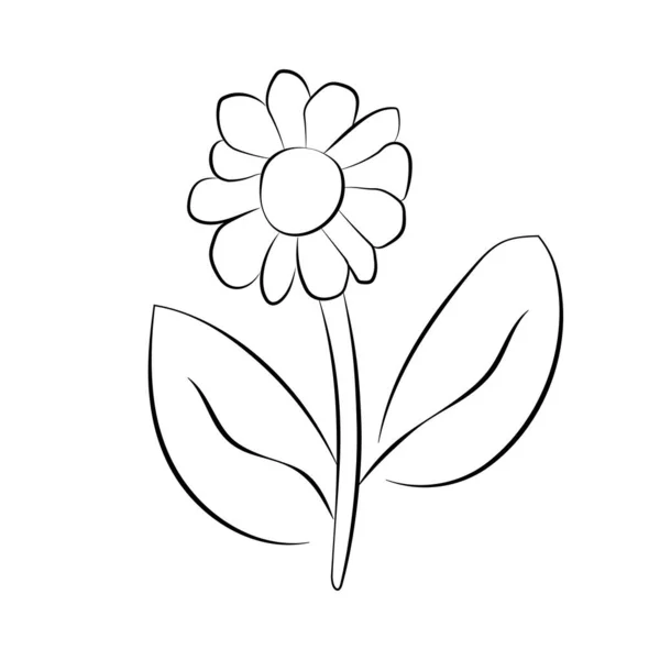 Doodle Flower Sketch Outline Icon Isolated White Beauty One Line — стоковый вектор