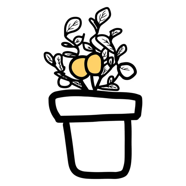 Einfache Umrisse Zitrusfrüchte Pflanze Blumentopf Vector Doodle Skizzenzeichnung Botanische Illustration — Stockvektor