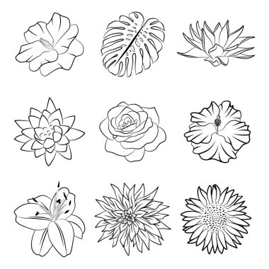 Doodle çiçek koleksiyonunu izole etti. El çizimi taslak çizimi ikon seti, botanik çiçek tasarımı öğesi. Nilüfer, nilüfer, gül, ayçiçeği, canavar yaprağı damgası. Lüks logo etiketi şablonu