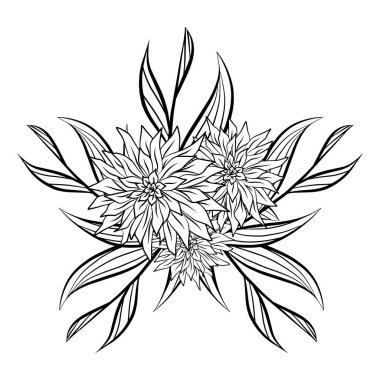 Grafik çiçek buketi, robot resim çizimi, yıldız şeklinde beyaz vektör çizimine izole edilmiş. Düz siyah hatlı çiçekler. Sanat terapisi, boyama kitabı şablonu. Botanik çiçeği.