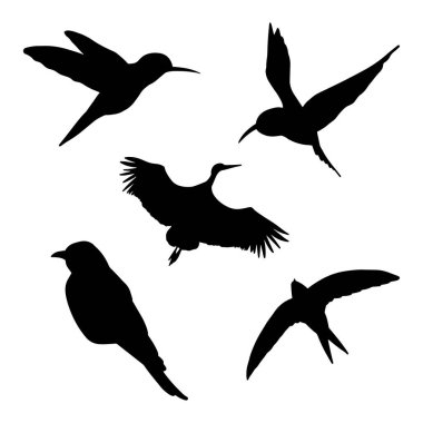 Farklı kuşlar gölge şeklinde, izole edilmiş siyah hayvan ikonu seti. Basit vektör silueti. Karga, leylek, kırlangıç, kobri, vinç.