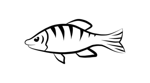 Doodle Fish Icon Isolated White Background Flat Vector Sea Food — Stock Vector